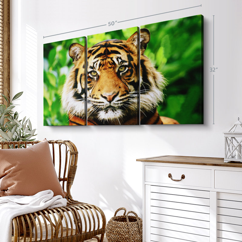 «Sumatran Tiger Gaze» sur, H 32 po x l 50 po x P 1,25 po