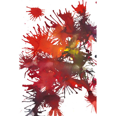 Fireworks Display II by Jodi Fuchs - Wrapped Canvas Painting