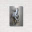 Art mural en métal luxueux «Horse galoping» par Momart-106415746