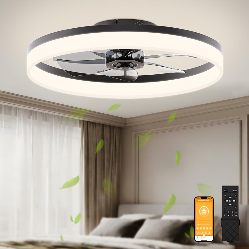 23.6 inch Small Ceiling Fans with Lights and Remote, Black, Black