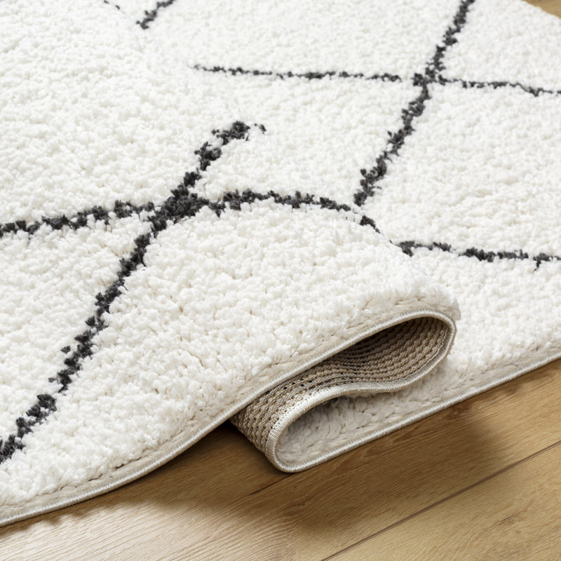 Cassundra Rectangle Geometric Machine Woven Polyester Area Rug in Charcoal/White, Rectangle 5'3" x 7'
