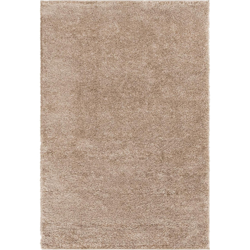 Indoor Rug, Rectangle 4'1" x 6'1"