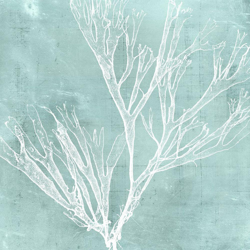 Art sur toile tendue Dovecove Vision Studio Gallery: Seaweed on Aqua VII, H 15 po x l 15 po