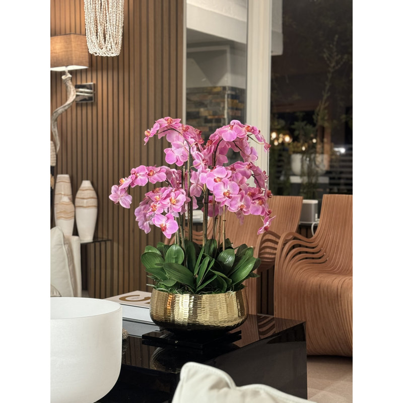 Roberi Orchid Arrangement in Planter, 38" H x 22" W x 22" D