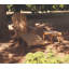 Adirondack Outdoor Teak Side Table