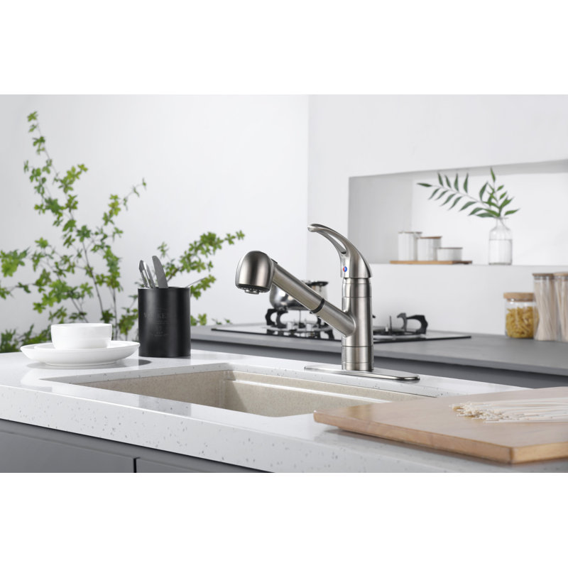 Robinet de cuisine à poignée simple Nita Vantage avec douchette extractible, Nickel brossé