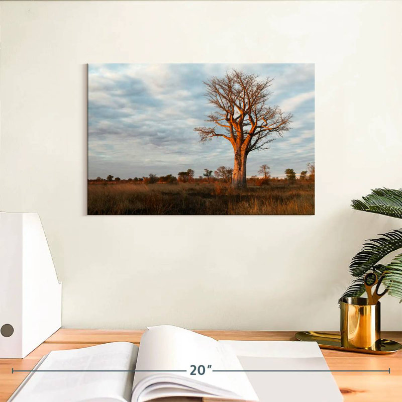 Harnek Zambian Baobab Tree, 8" H x 12" W