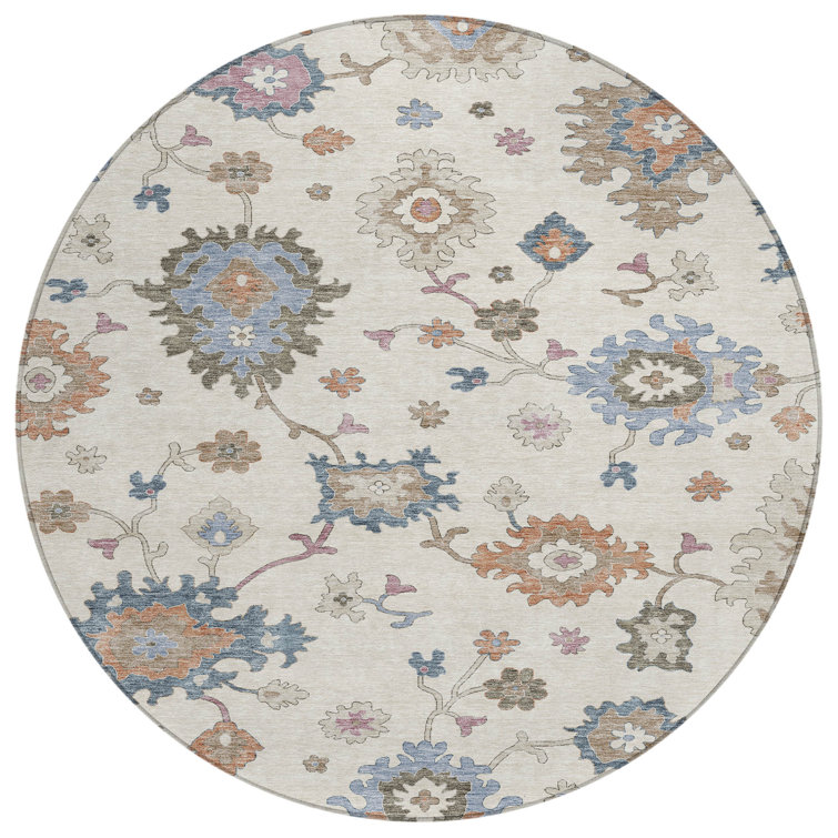 Machine Washable Indoor/Outdoor Segin ACN1218 Rug