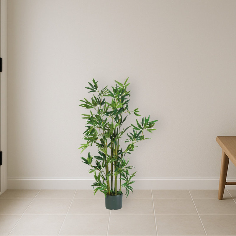 Bamboo Silk Plant Tree