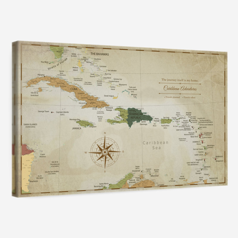 My Home II, punaise des Caraïbes, Alvertia, H 16 po x l 24 po