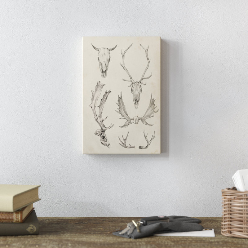 «Skull and Antler Study II» par Ethan Harper, impression sur toile, H 12 po x l 8 po, Toile tendue
