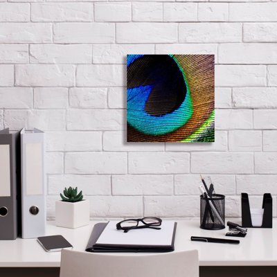 " Peacock Feather 02 " Print