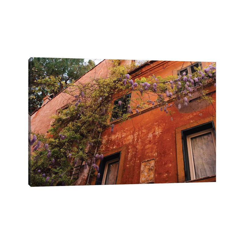 Wisteria In Rome III by Bethany Young - Print on Canvas, Wrapped Canvas, 45.72cm H x 66.04cm W x 3.81cm D