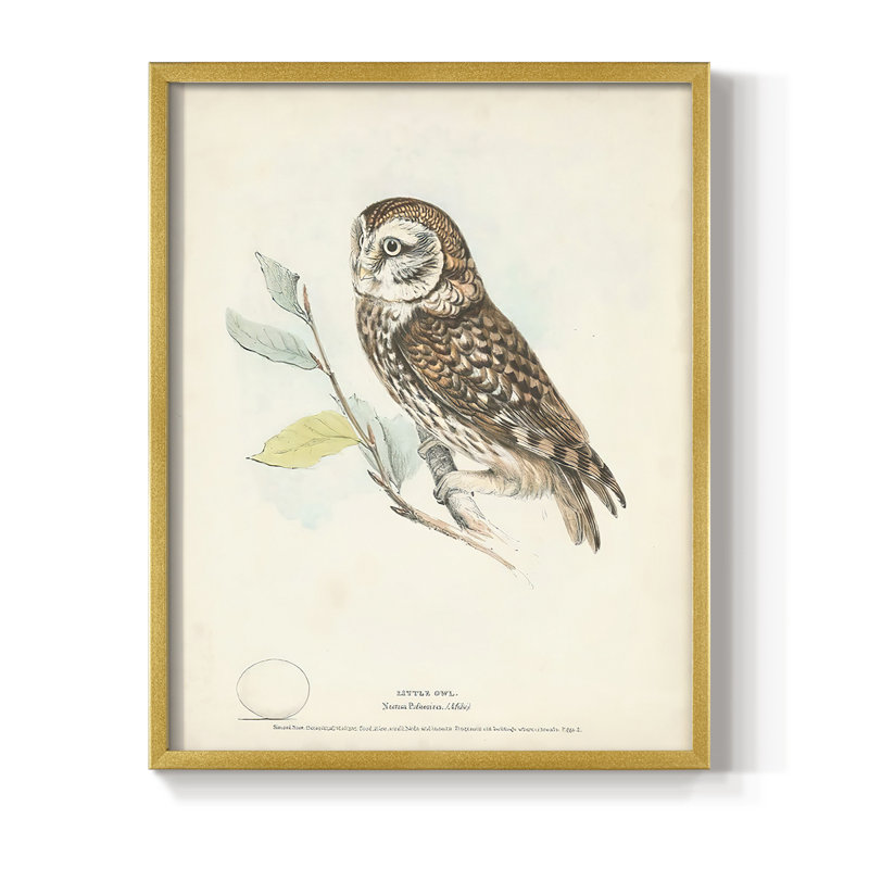 «Little Owl», reproduction encadrée - bois massif, H 14 po x l 11 po