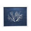 Sealife Print