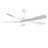 Fergus  5-Blade Lighted Ceiling Fan With Led Lamp With Remote