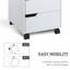 Paighton 40cm Wide 3 -Drawer File Cabinet