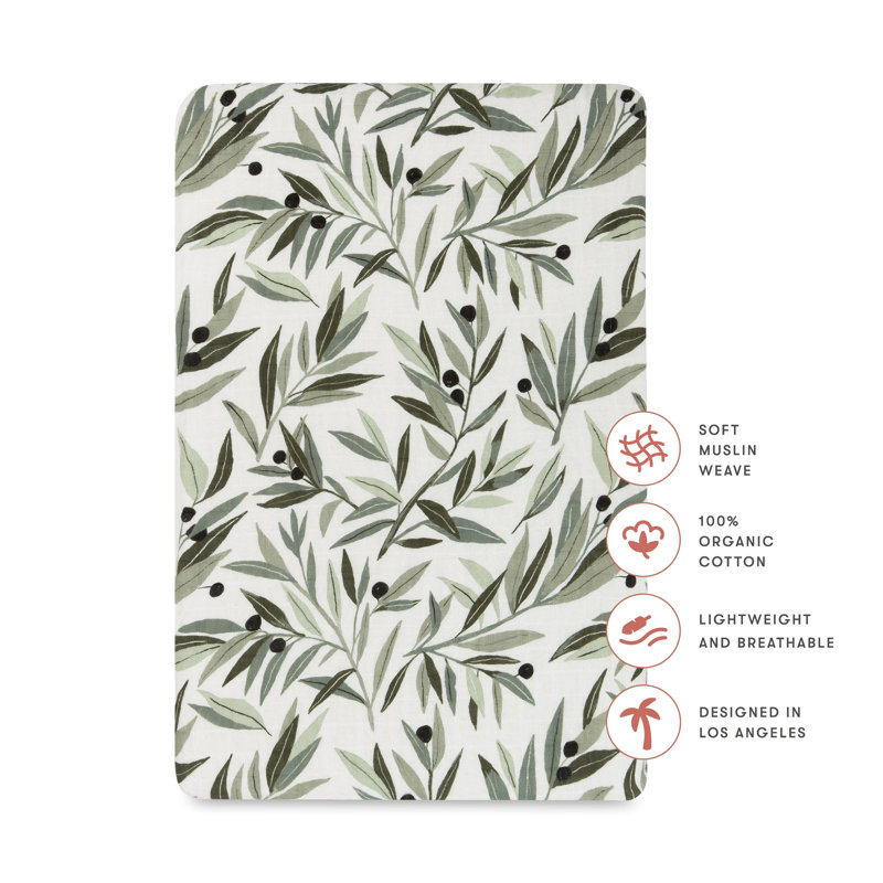 Olive Branches Bassinet Sheet