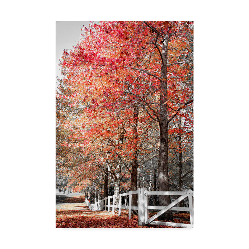 « automne rouges iv », photographie sur toile, H 47 po x l 30 po x P 2 po