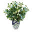 Budding Stems in Decorative Vase-1083971575