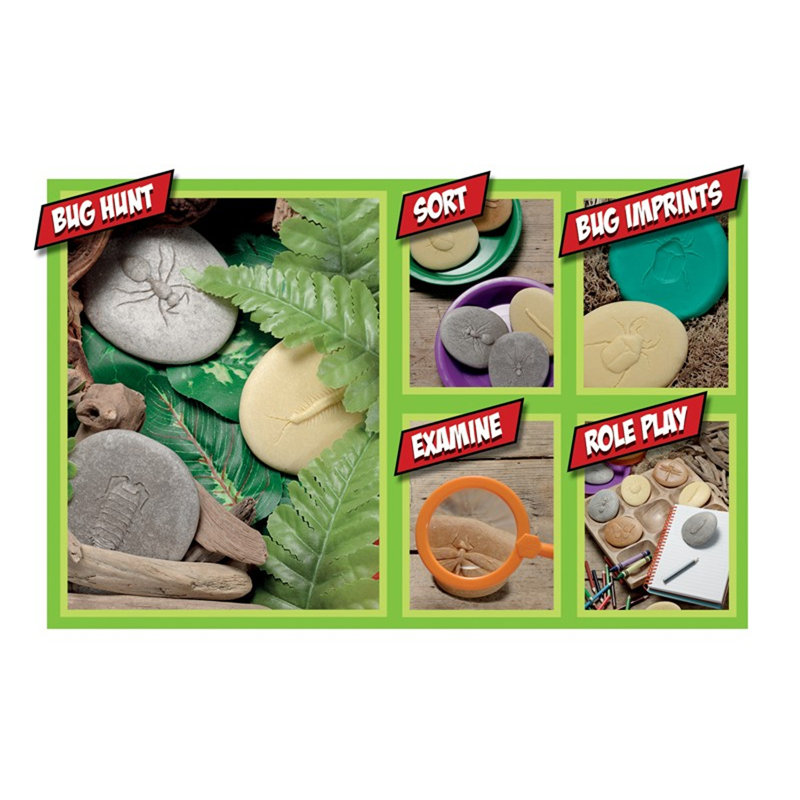 Outdoor Stone and Resin Bug Exploration Set for Kids