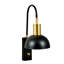 Sumlin Iron Armed Sconce
