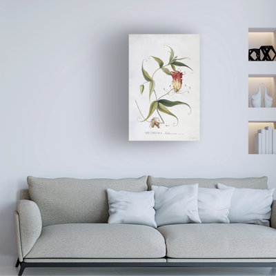 Georg Dionysius Ehret Methonica, Canvas Art