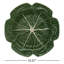 Set of 4 Cabbage Chargers-63962628