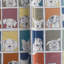 Tissu pour animaux de compagnie Lucky Dog