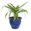 Jardinière extérieure Berlina-1292973037-1293001909