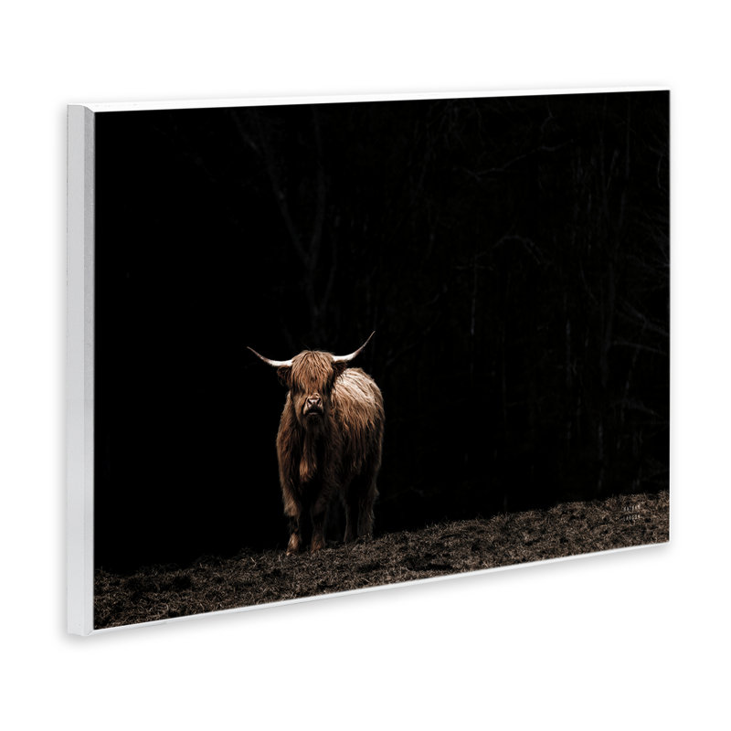  «Dark Contrast Highland Cow» par Nathan Larson, H 10 po x l 15 po