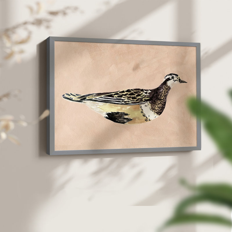 «Feathered Friend IV», reproduction encadrée, Gris, H 11 po x l 14 po