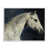 Giclée encadrée blanc bord de mer