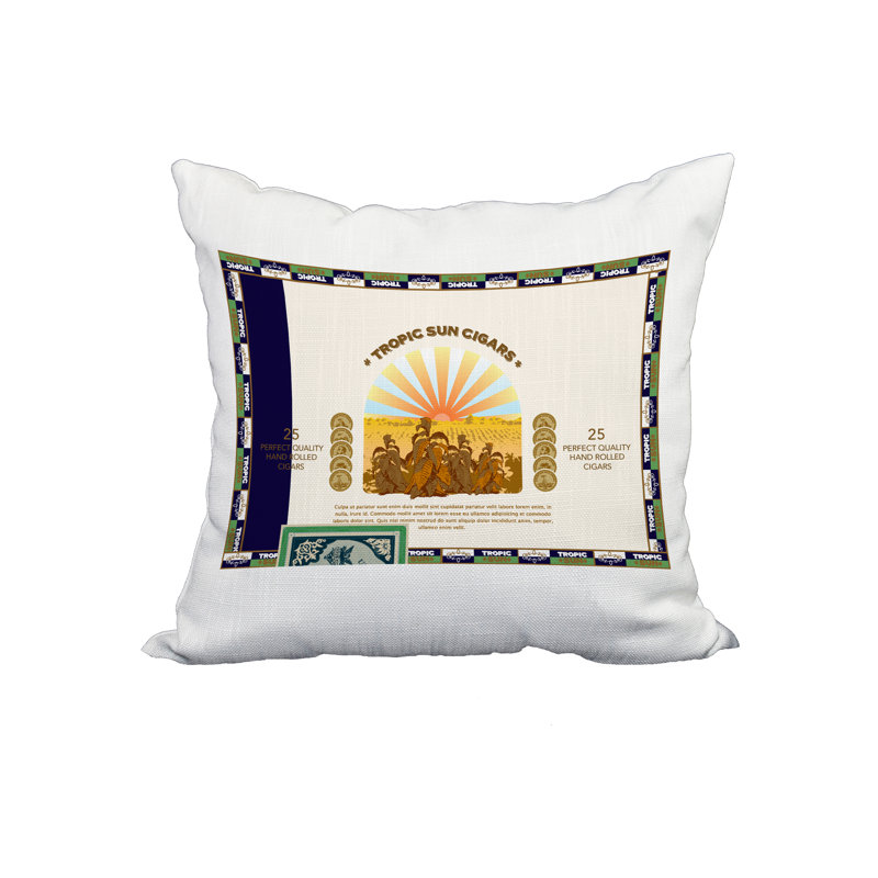 Housse et insert de coussin carré imprimé devant une boîte à cigares, 18 po x 18 po, Vert