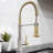 ZLINE Autograph Apollo Pull Down Spring Single Handle Kitchen Faucet-113050166