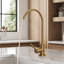 Robinet filtrant d'eau potable pour osmose inversée, robinet de boisson à poignée simple avec bec pivotant-118705458