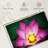 Harnek Bees On Lotus-107886691