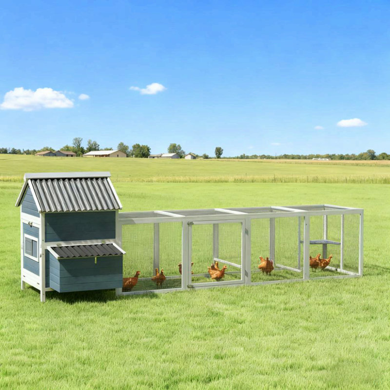 Poulailler pour 10 à 15 poulets