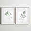 Simple sauge - ensemble de 2 reproductions d'art encadrées-1578471018-1541205129-1578471023
