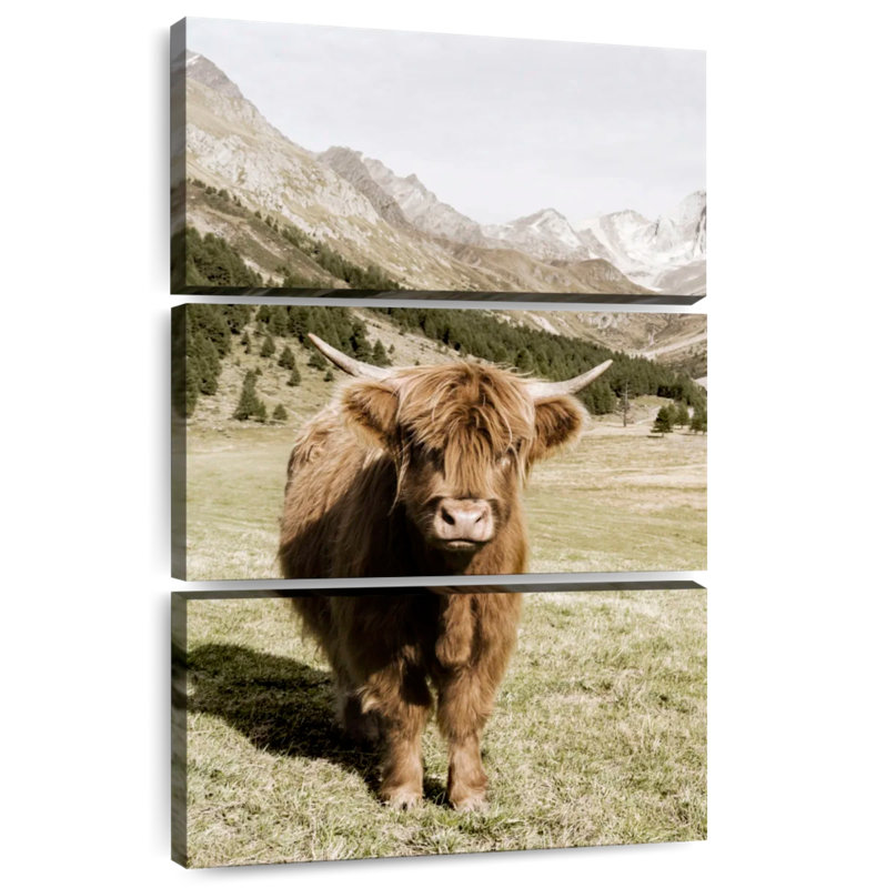 Brampt Oetztal Alps, 65" H x 42" W