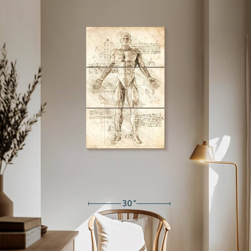 Anatomie des muscles humains Keiri, H 57 po x l 36 po