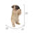 Pug Puppy Statue Praying