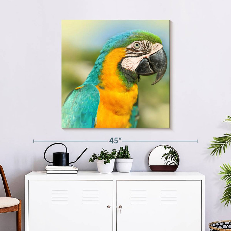 Brampt Parrot, 30" H x 30" W