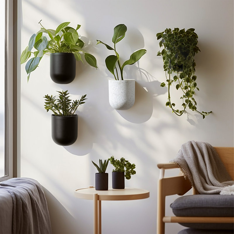 Elayna Venus 2 - Piece Plastic Wall Planter Set, Black
