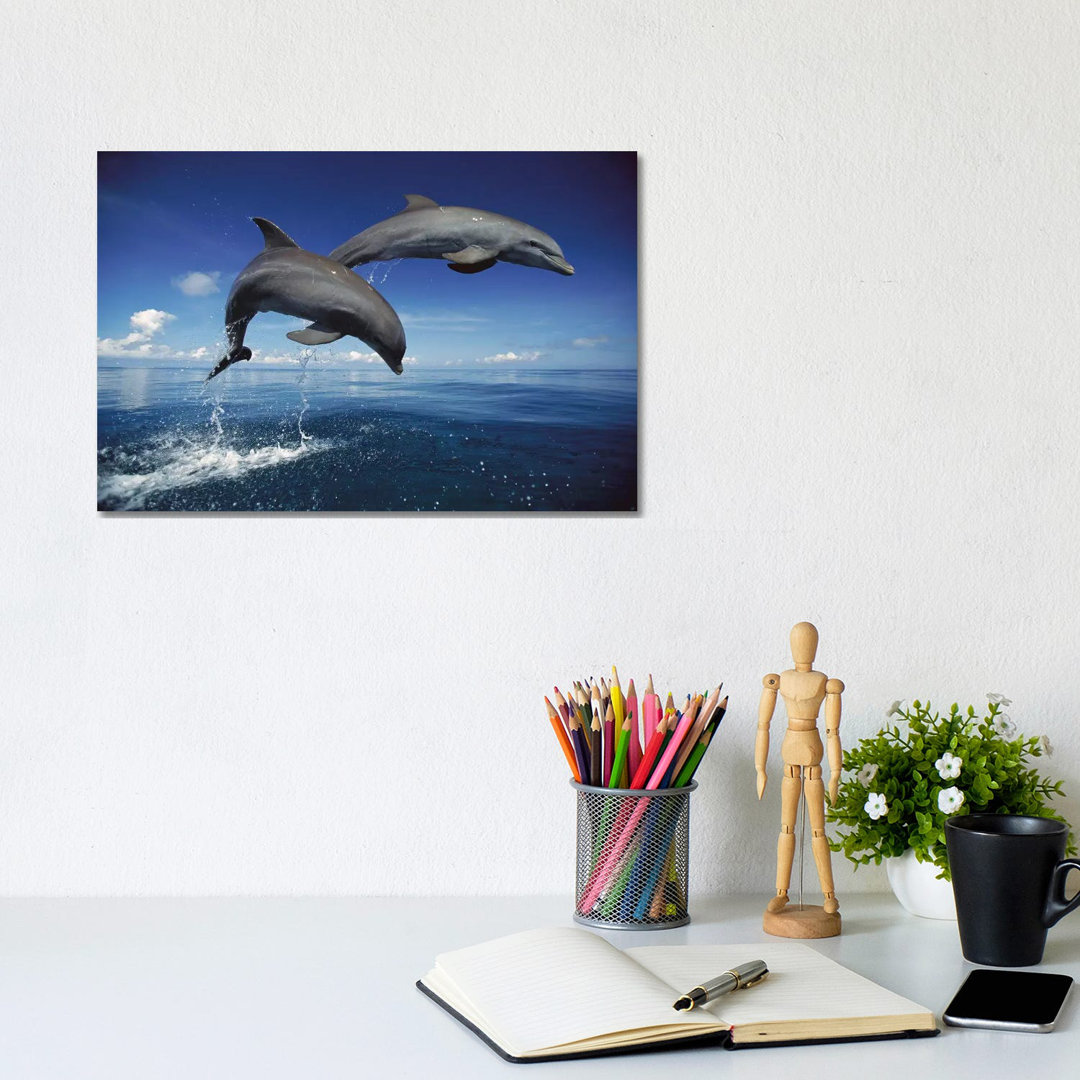 Bottlenose Dolphin Pair Jumping, Caribbean by Konrad Wothe - Wrapped Canvas Print
