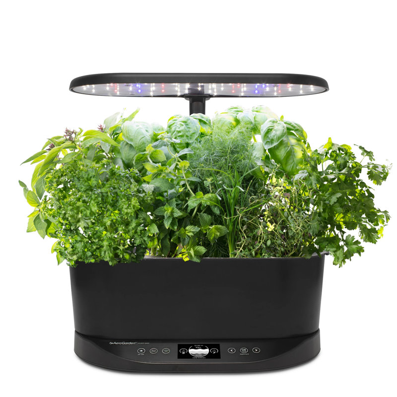 Noir AeroGarden Bounty