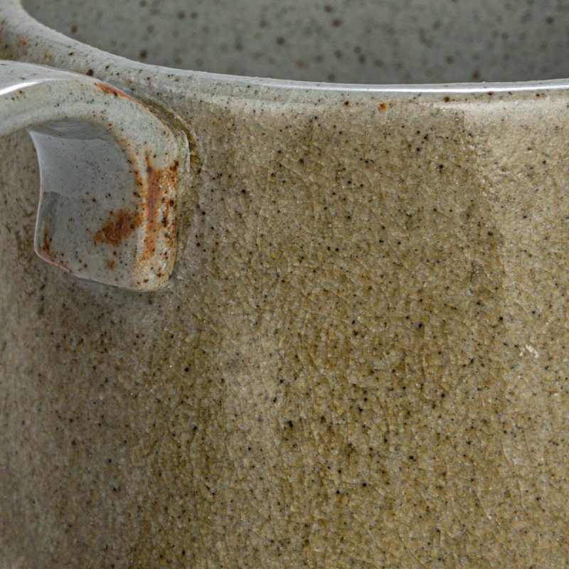 Stoneware Mug Set with Insect and Bird Designs