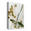 Impression sur toile tendue, Tropical Impromptu I-1488324847