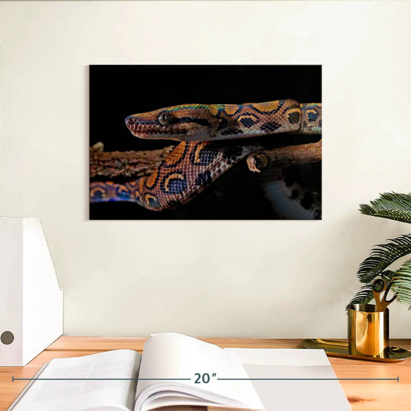 Brampt Rainbow Boa Snake, 8" H x 12" W