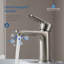 Robinet pour salle de bain à un trou en nickel brossé Blossom-36585962